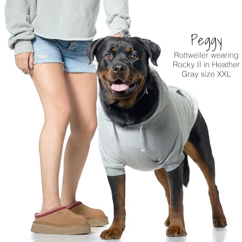 Rocky II Dog Hoodie (Heather Grey / XX-Small (4-7 lbs))