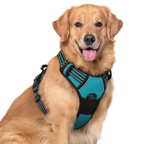 Dog Harness No Pull for Large Dogs with 2 Leash Clips (X-Large / Teal)