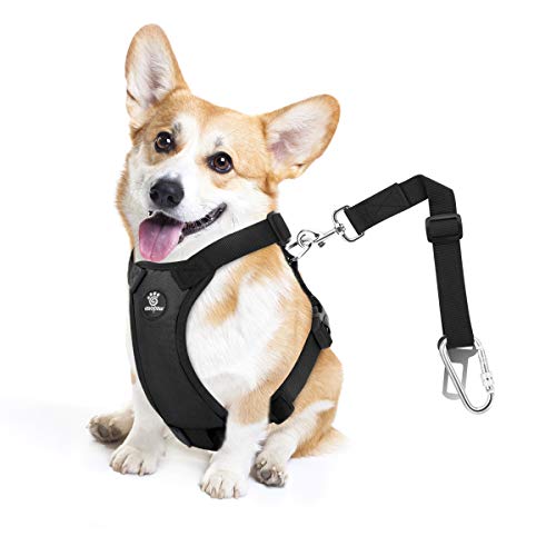 Dog Seat Belt Vest Harness for Car (Black / S (Chest: 16.5-21.7", Neck: 8.7-13.8"))