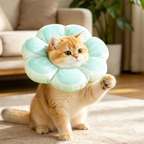 Cat Cone Collar (Blue / M - Neck Up to 10.5")
