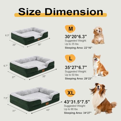 Orthopedic Dog Bed Medium Size Dog (Green / 30.0" L x 20.0" W x 6.3" Th)
