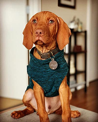 Zip Up Fleece Dog Sweater (2X-Large chest (~25.5") / Fuchsia Wash)