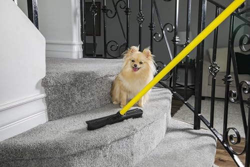 Pet Hair Removal Rubber Broom (58" Telescopic Handle)