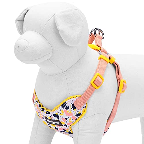 Soft & Comfy Made Well Blooming Floral No Pull Mesh Puppy Dog Harness Vest in Creamy White ((14" - 16") Chest Girth (Pack of 1) / Creamy White)