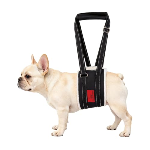 Dog Lift Harness (XS)