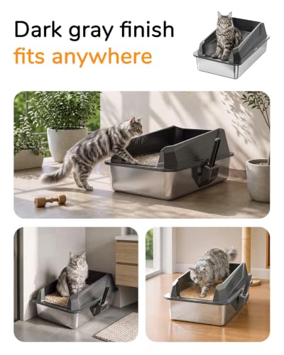 XL Cat Litter Box (Dark Gray)