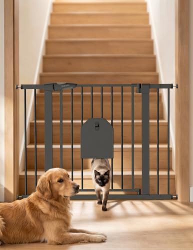 Auto Close Dog Gate with Cat Door (Black / 29-43" Wide, 30" Tall | Standard)