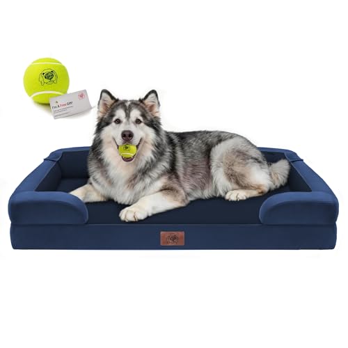 Waterproof Orthopedic Dog Bed for Extra Large Sized Dogs (48 x 30 x 9 in / Royal Blue)