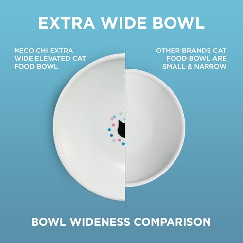 Necoichi Ceramic Raised Cat Food Bowl (Colorful Dots / Large Extra Wide)