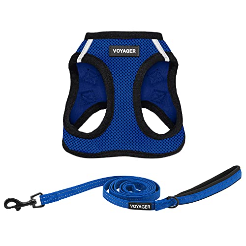 Voyager Step in Air All Weather Mesh Harness and Reflective Dog 5ft Leash Combo with Neoprene Handle (Royal Blue/Black Trim / L (Chest: 18 - 20.5"))