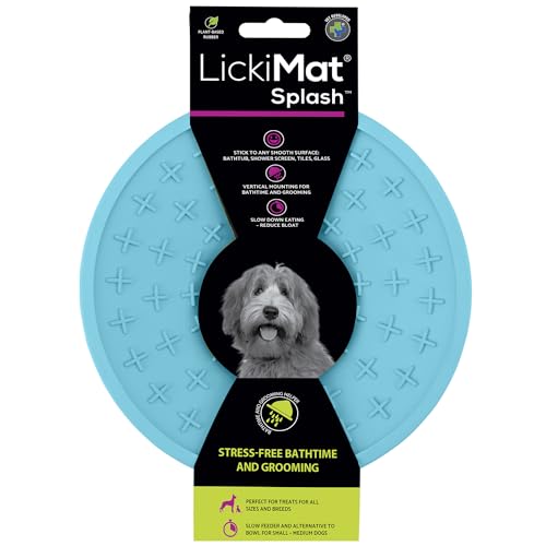 Splash Slow Feeder Bowl Lick Mat for Dogs (Turquoise)