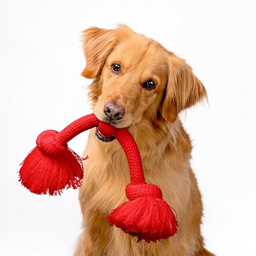 Tug Rope Dog Toys for Large Breed Dogs (Jumbo (VALUE 2-Pack) / Peanut Butter & Beef)