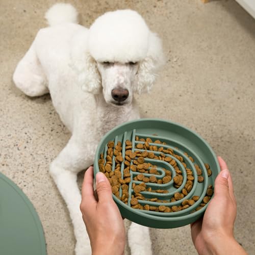 Slow Feeder Dog Bowl (Spruce - Rainbow Design / Large (9.5” Across and 1.5” Tall))