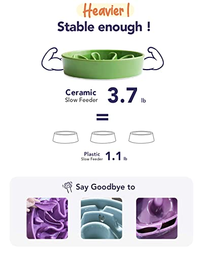 Slow Feeder Dog Bowls Ceramic (Clover Green / L-3 Cups)