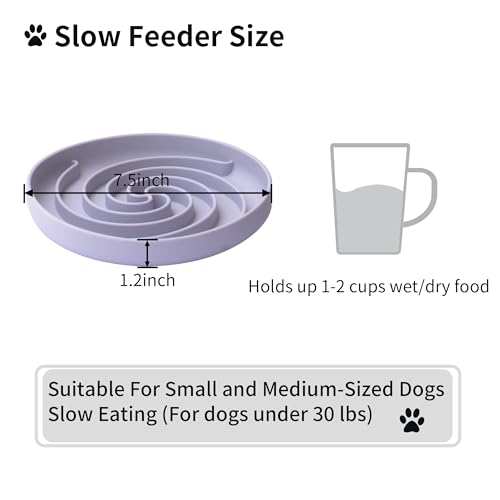 Slow Feeder Dog Bowls (Medium / White and Purple)
