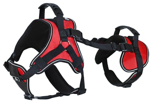 Multi Functional Full (Girth 28-39" / Red)