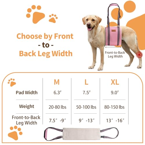 Dog Lift Harness for Large Dogs (Medium (Pack of 1) / Pink)
