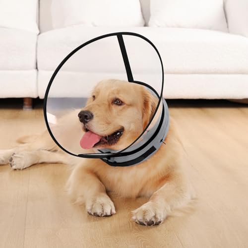 Sponge Core Dog Cone (Gray / Size 7(Neck: 18.0"- 20.0"))
