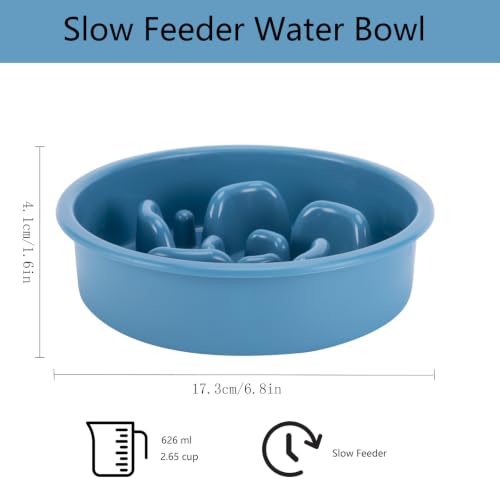 Slow Feeder Dog Bowl and Stainless Steel Water Bowl (Medium / Blue)