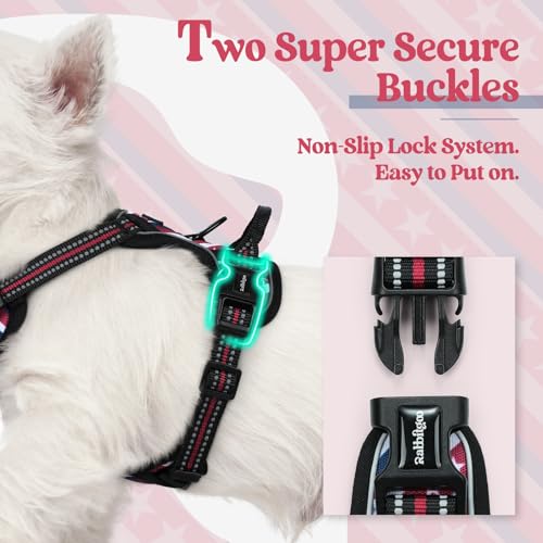 Dog Harness No Pull for Small Dogs with 2 Leash Clips (X-Small / Red Stripe)