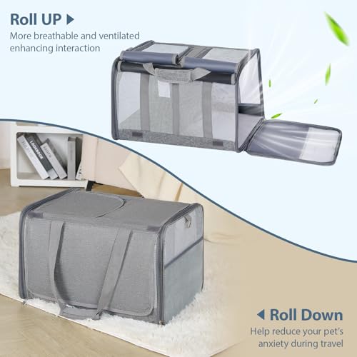 Cat Carrier for 2 Cats