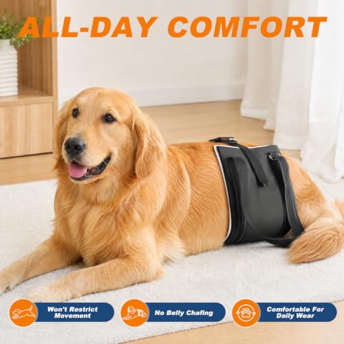 Dog Lift Harness for Rear Legs (Large)