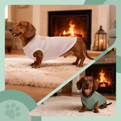 Dog Clothes for Small Dogs (Green&Pink / XX-Large(18.1-23lb))