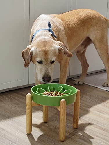 Ceramic Slow Feeder Dog Bowls Elevated (Clover Green+Stand / L-3 Cups)