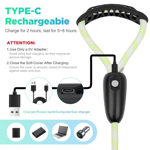 Light Up Dog Leash (4 Ft / RGB)