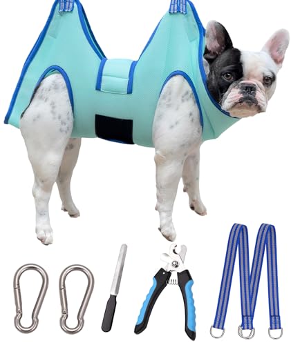 Dog Grooming Hammock (Medium 35 LB Max/Turquoise)