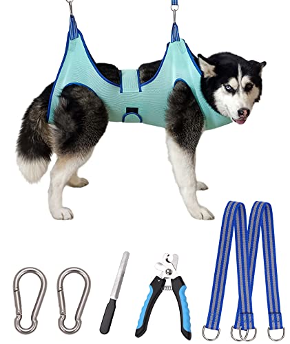 Dog Grooming Hammock Harness (XX-Large 65 LB Max/Turquoise)