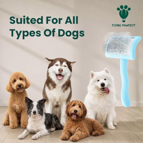 Pet Slicker Brush With Soft Massage Grooming Stainless Steel Pins (Baby Blue / Curved Medium)