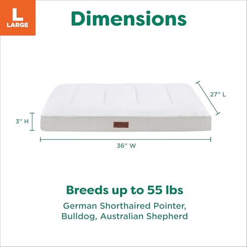 Orthopedic Dog Bed (Large / Light Gray)