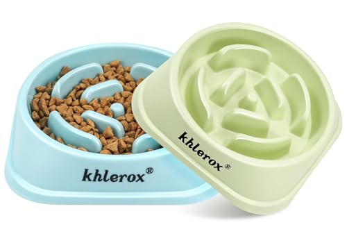 2 Pack Slow Feeder Dog Bowls for Large Dogs (Large / Green and Light Blue)
