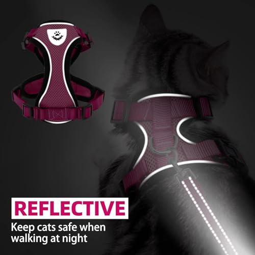 Cat Harness and Leash Set Escape Proof Reflective Cat Walking Harness Adjustable Soft Breathable Mesh Vest for Small Pets (M (NECK 11"-13.7", CHEST 16"-20") / Deep Pink)