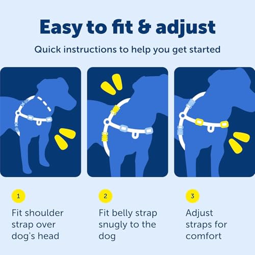 Easy Walk Harness for Dogs (Medium / Red)