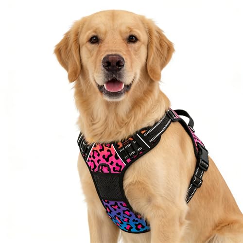 No Pull Dog Harness (Neon Leopard Print / X-Large)
