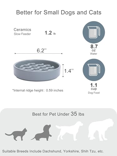 Ceramic Slow Feeder Dog Bowl (Macroni-Ice Blue / Small)