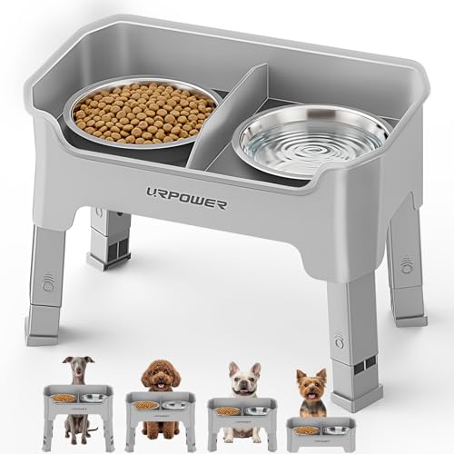 Mess Proof Elevated Dog Bowls for Small Dogs with Splash Guard (Light Grey / Small)