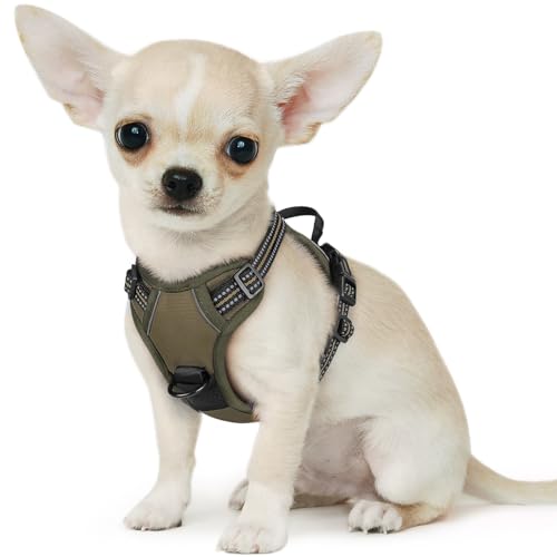 Dog Harness for Small Dogs (X-Small / Brown)