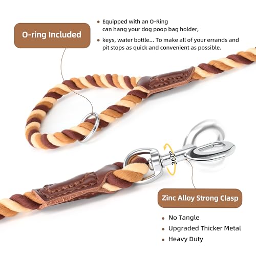 Rainbow Dog Leash Braided Cotton Rope w Leather (Brown Gradient / 72 Inch-1/2")
