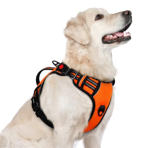 Large Dog Harness (Large / Orange)