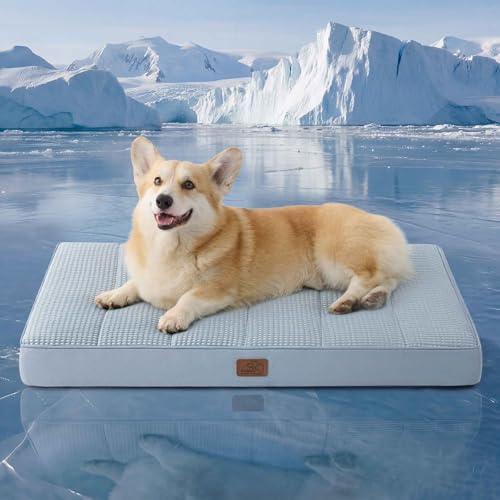 Cooling Dog Bed for Crate (35"L x 22"W x 3"Th / Cooling Blue)