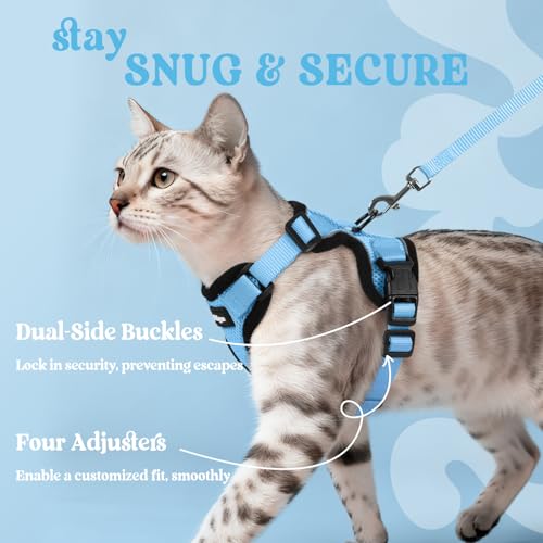 Cat Harness and Leash Set (Xxs / Light Blue)