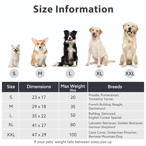 Orthopedic Dog Bed for Large Dogs (L(35"x22") / Blue)