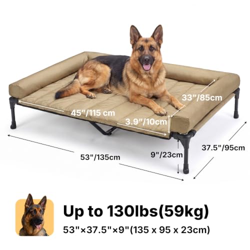 Outdoor Elevated Dog Bed with Waterproof Bolster Cushion (Beige Coffee / 53.0"L x 37.5"W x 9.0"Th)