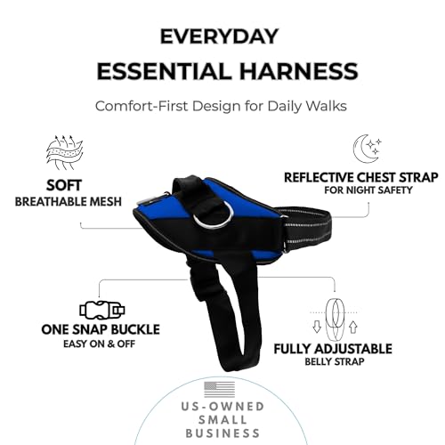 Essential Dog Harness (Electric Blue / L)