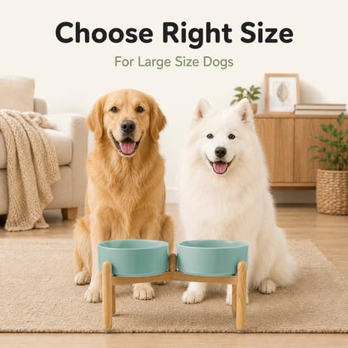 Ceramic Dog Bowls Elevated (Light Green)