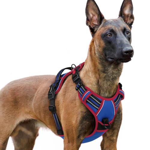 Dog Harness for Large (X-large / Blue & Red)