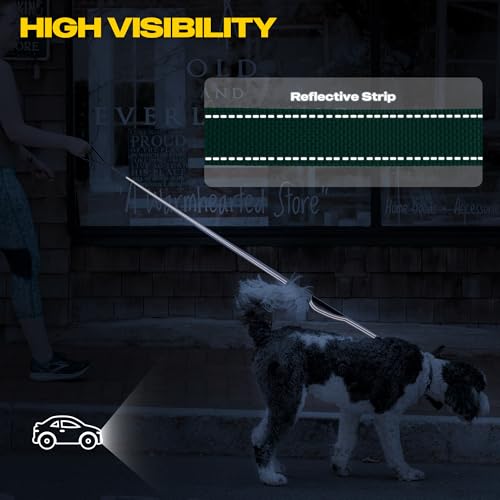 10 FT Heavy Duty Dog Leash (10 Feet (Pack of 1) / Teal)
